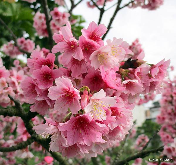 037-IMG_0244.JPG 037-IMG_0244.JPG