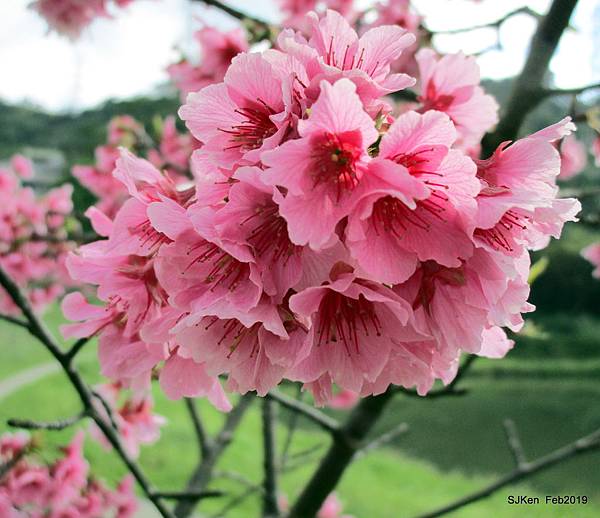 039-IMG_0240.JPG 039-IMG_0240.JPG