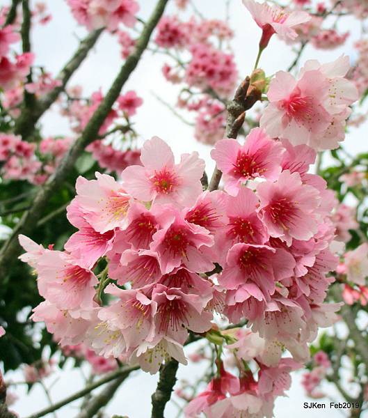 041-IMG_0247.JPG 041-IMG_0247.JPG