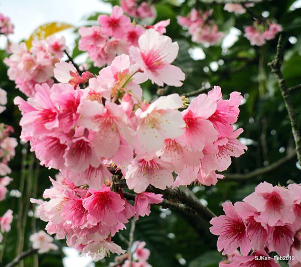 042-IMG_0248.JPG 042-IMG_0248.JPG