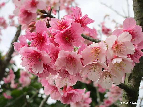 043-IMG_0250.JPG 043-IMG_0250.JPG