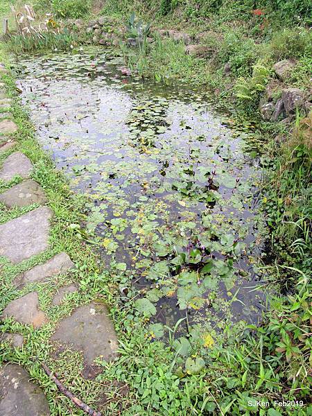 046-IMG_0265.JPG 046-IMG_0265.JPG