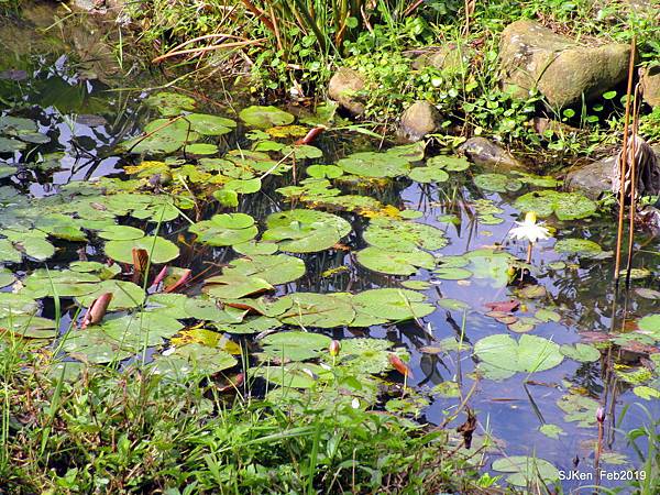 047-IMG_0277.JPG 047-IMG_0277.JPG