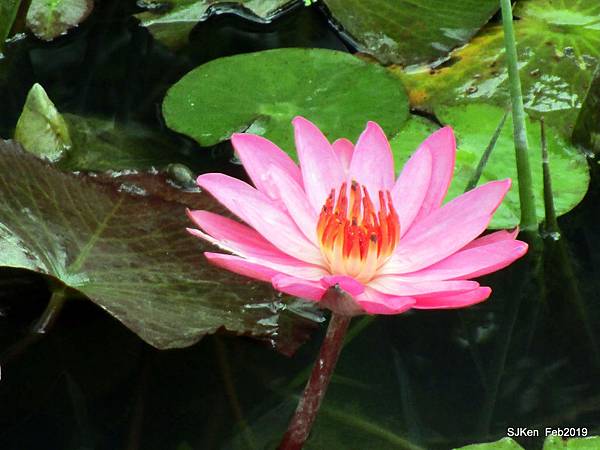 048-IMG_0260.JPG 048-IMG_0260.JPG