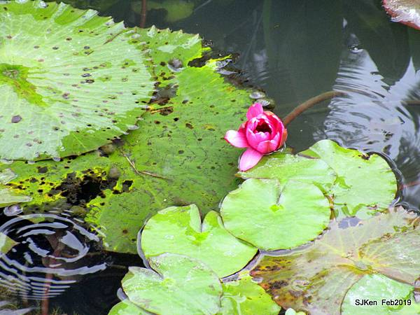 049-IMG_0259.JPG 049-IMG_0259.JPG