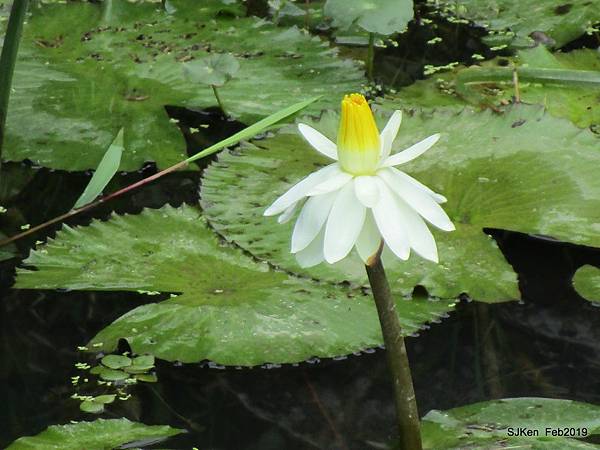 050-IMG_0262.JPG 050-IMG_0262.JPG