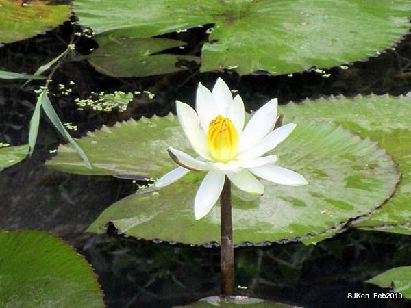 051-IMG_0261.JPG 051-IMG_0261.JPG