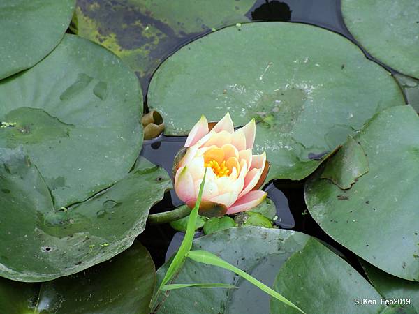 052-IMG_0258.JPG 052-IMG_0258.JPG