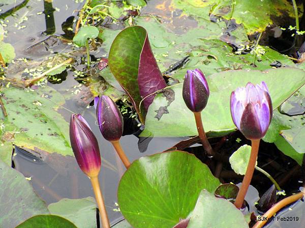 053-IMG_0263.JPG 053-IMG_0263.JPG