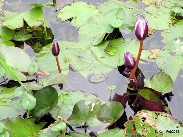 054-IMG_0264.JPG 054-IMG_0264.JPG