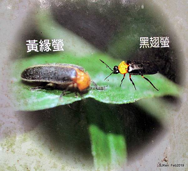 059-IMG_0275.JPG 059-IMG_0275.JPG