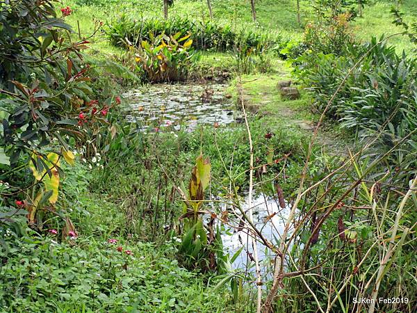 060-IMG_0268.JPG 060-IMG_0268.JPG