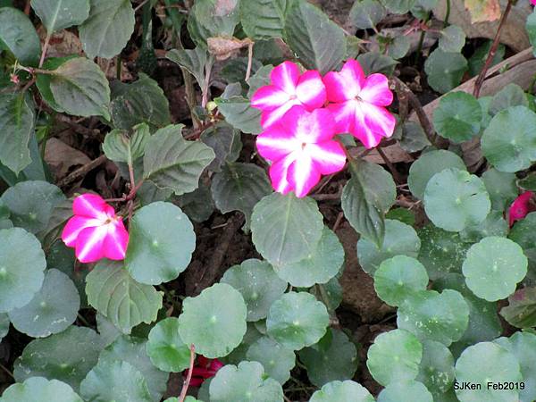 062-IMG_0273.JPG 062-IMG_0273.JPG