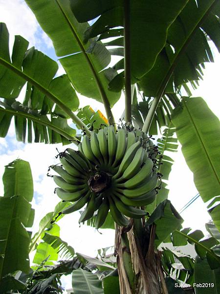 066-IMG_0294.JPG 066-IMG_0294.JPG