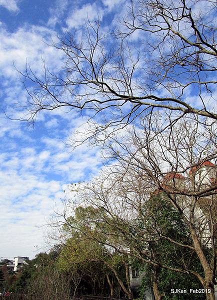 093-IMG_0321.JPG 093-IMG_0321.JPG