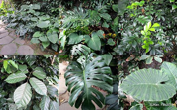 101-2019.02.JPG 101-2019.02.JPG