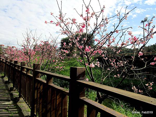 104-IMG_0369.JPG 104-IMG_0369.JPG