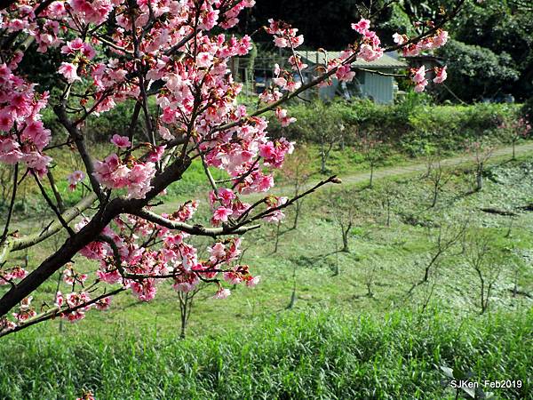 105-IMG_0465.JPG 105-IMG_0465.JPG