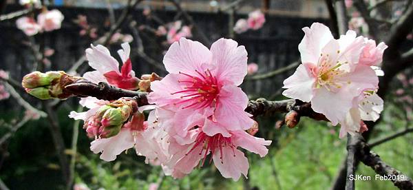 107-IMG_0364.JPG 107-IMG_0364.JPG