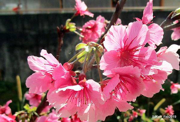 110-IMG_0385.JPG 110-IMG_0385.JPG