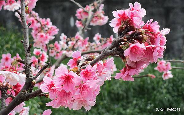 111-IMG_0356.JPG 111-IMG_0356.JPG