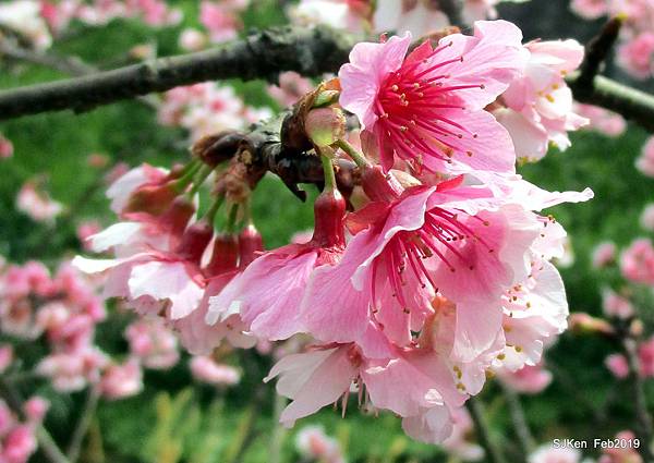 112-IMG_0352.JPG 112-IMG_0352.JPG