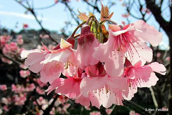 113-IMG_0360.JPG 113-IMG_0360.JPG