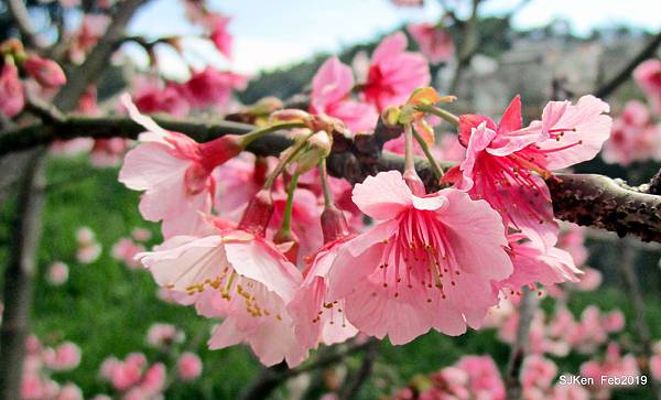 114-IMG_0353.JPG 114-IMG_0353.JPG