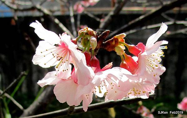 119-IMG_0376.JPG 119-IMG_0376.JPG