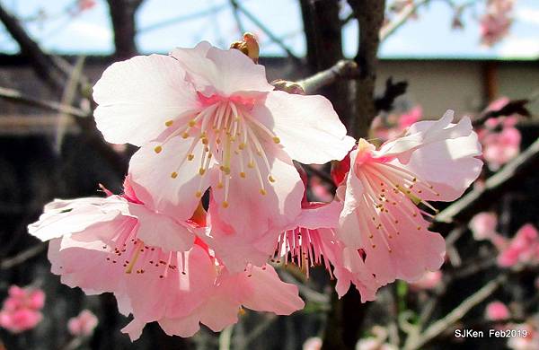 120-IMG_0380.JPG 120-IMG_0380.JPG