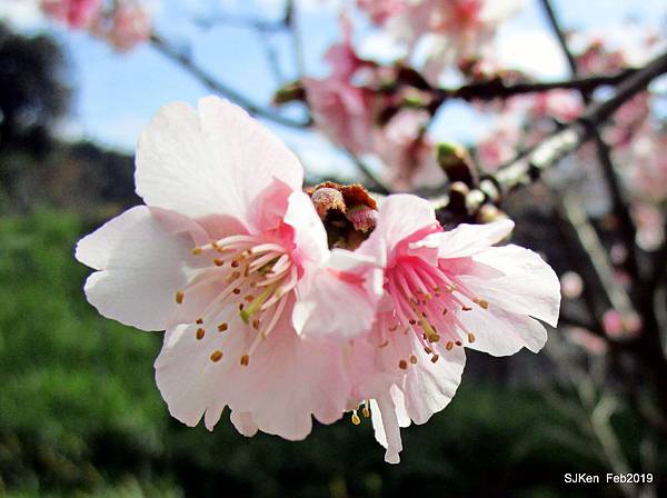 121-IMG_0366.JPG 121-IMG_0366.JPG