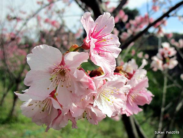 123-IMG_0368.JPG 123-IMG_0368.JPG