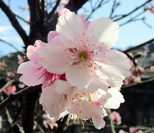 124-IMG_0370.JPG 124-IMG_0370.JPG