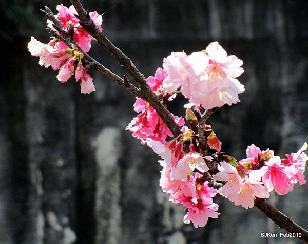 126-IMG_0392.JPG 126-IMG_0392.JPG