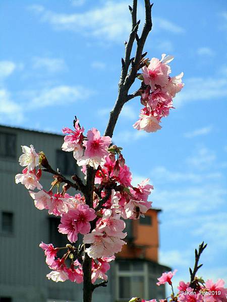 127-IMG_0394.JPG 127-IMG_0394.JPG