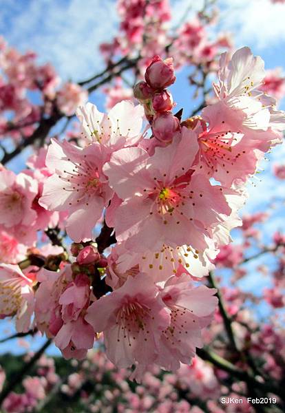 128-IMG_0460.JPG 128-IMG_0460.JPG