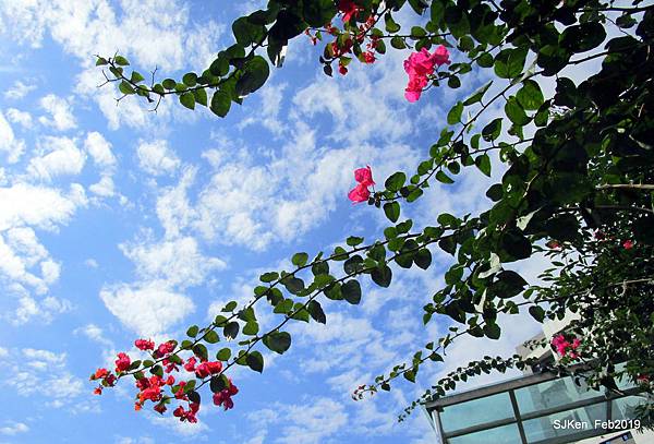 132-IMG_0397.JPG 132-IMG_0397.JPG