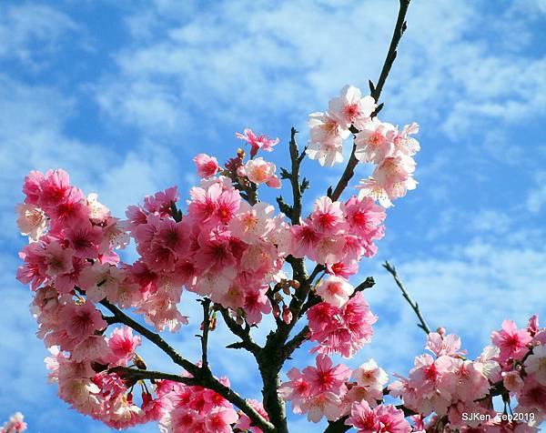 137-IMG_0466.JPG 137-IMG_0466.JPG