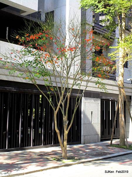 023-IMG_0646.JPG 023-IMG_0646.JPG