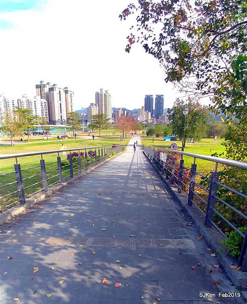 119-P_20190202_142718.JPG 119-P_20190202_142718.JPG