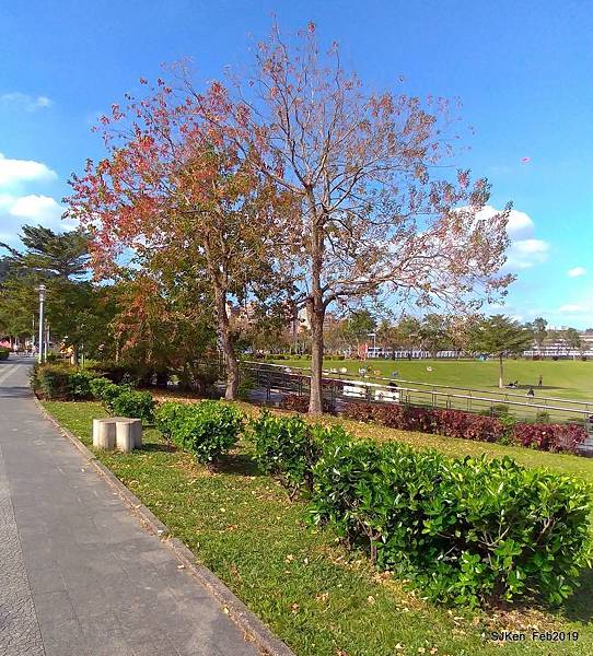 122-P_20190202_142509.JPG 122-P_20190202_142509.JPG