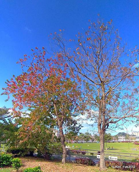 124-P_20190202_142528.JPG 124-P_20190202_142528.JPG