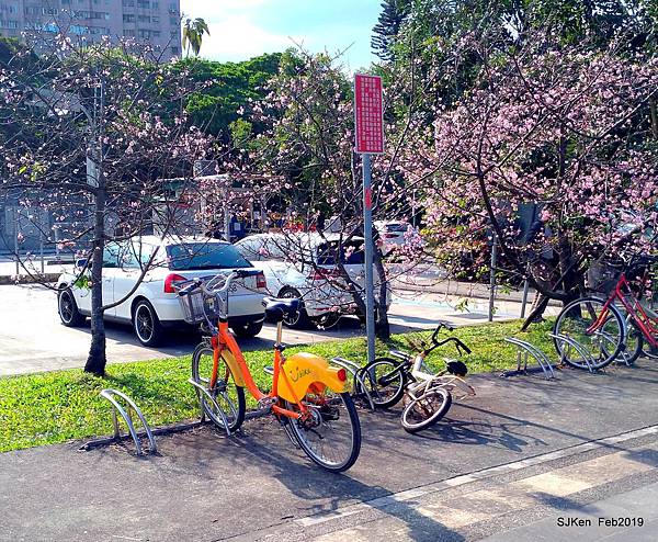 131-P_20190202_142433.JPG 131-P_20190202_142433.JPG