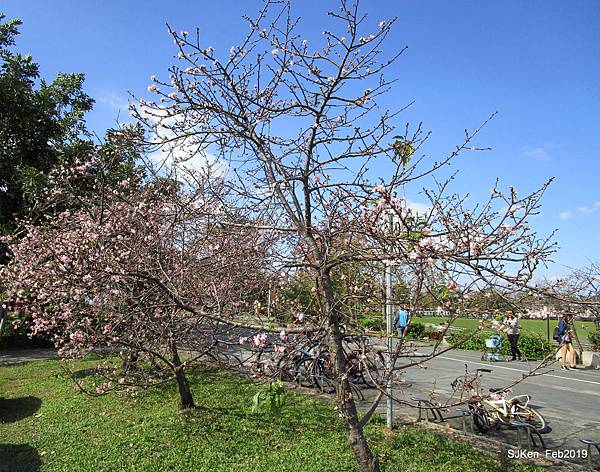 132-IMG_0757.JPG 132-IMG_0757.JPG