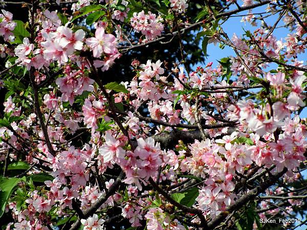 135-IMG_0773.JPG 135-IMG_0773.JPG