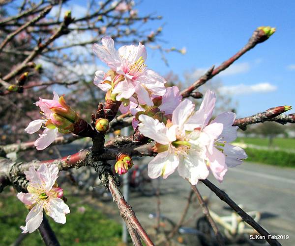 136-IMG_0750.JPG 136-IMG_0750.JPG