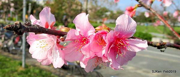 137-IMG_0745.JPG 137-IMG_0745.JPG