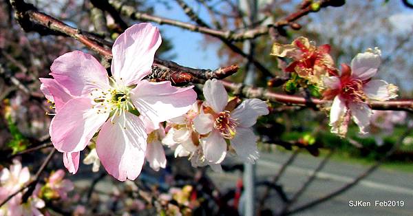 138-IMG_0751.JPG 138-IMG_0751.JPG