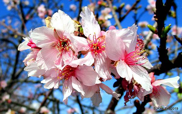 139-IMG_0759.JPG 139-IMG_0759.JPG