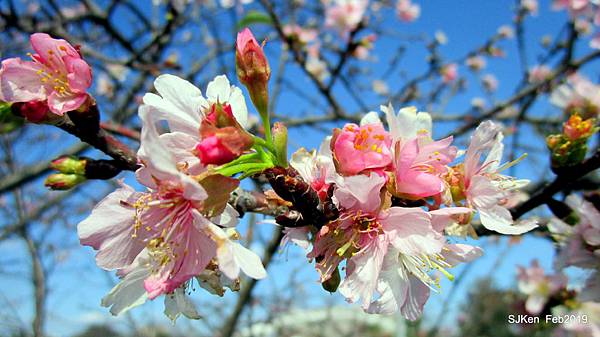 141-IMG_0762.JPG 141-IMG_0762.JPG